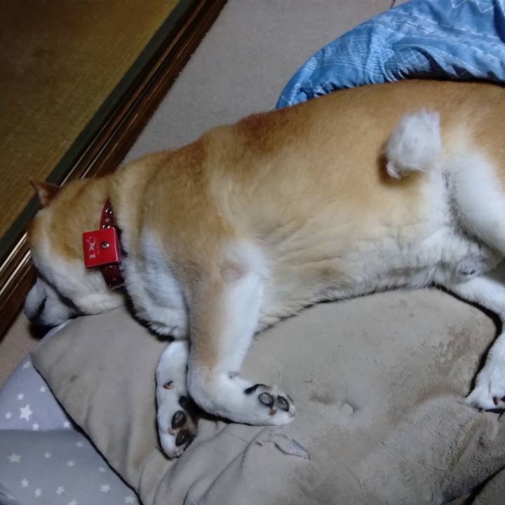 Fb5f4e4a a461 4d8b 8de3 35c1947e9db1 1686352823556