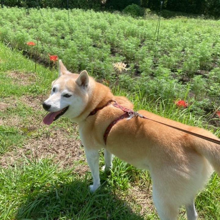 Fb5f7b8a b44a 4556 8320 8a0ccdae6e73 1636293565943