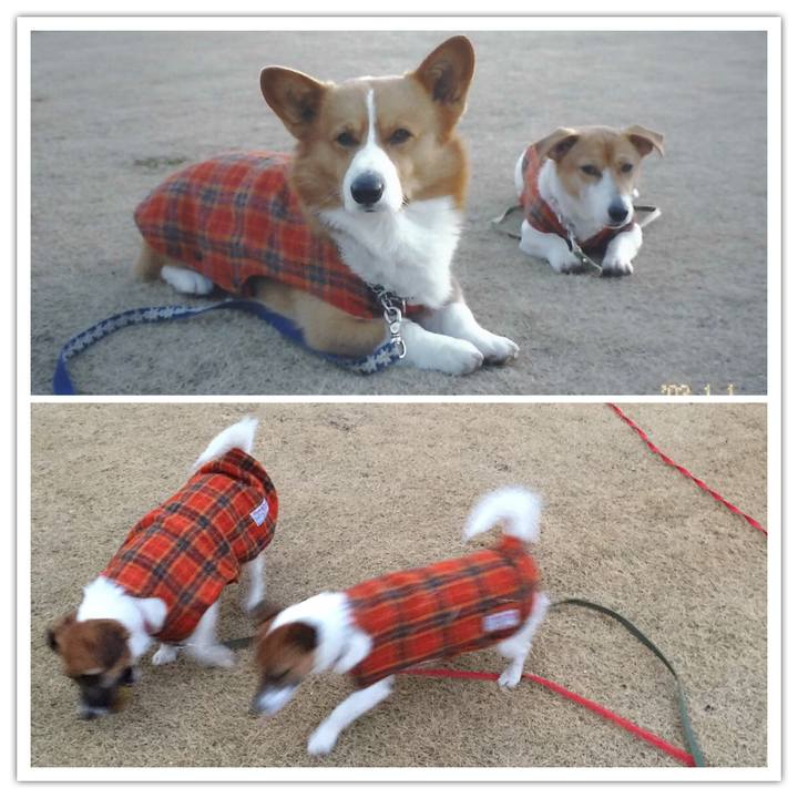 Fb5f80f6 7053 48aa b97e 7a31291215bb 1516333313408