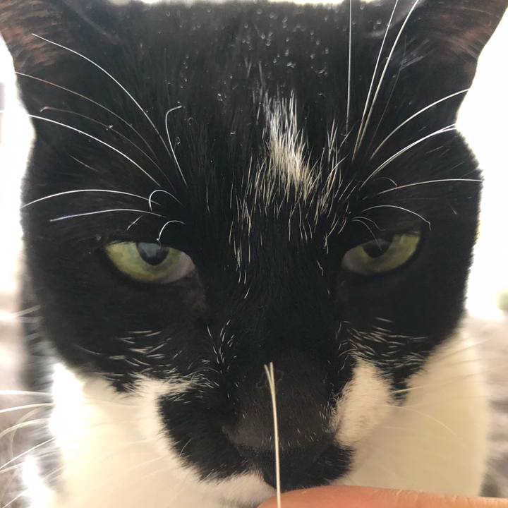 Fb5fb329 6b2c 491f 9294 72be9ce43ab9 1619382462774