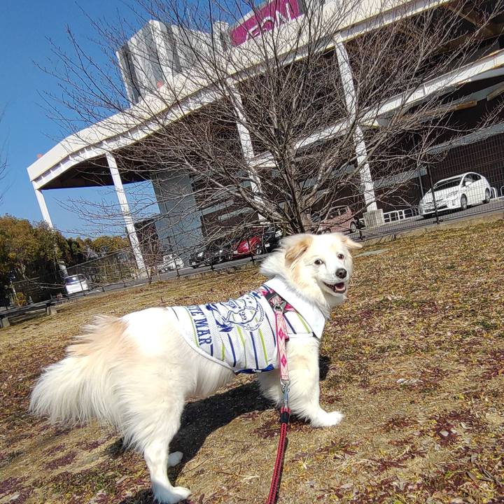 Fb5fc5b0 53f6 43ed 9a8f 45596e4f5cdb 1645940689843