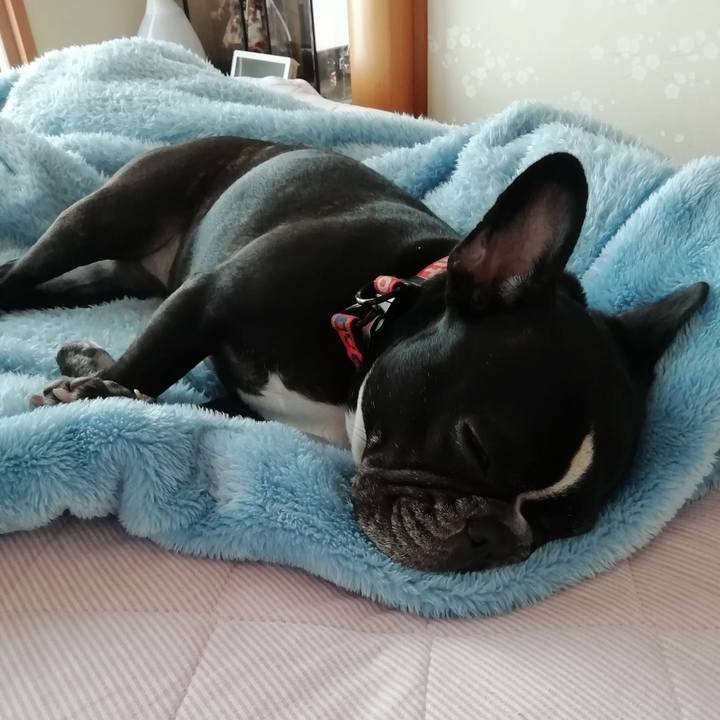 Fb5fca87 6ddb 4cb2 a746 4ca19934ac37 1559440072413