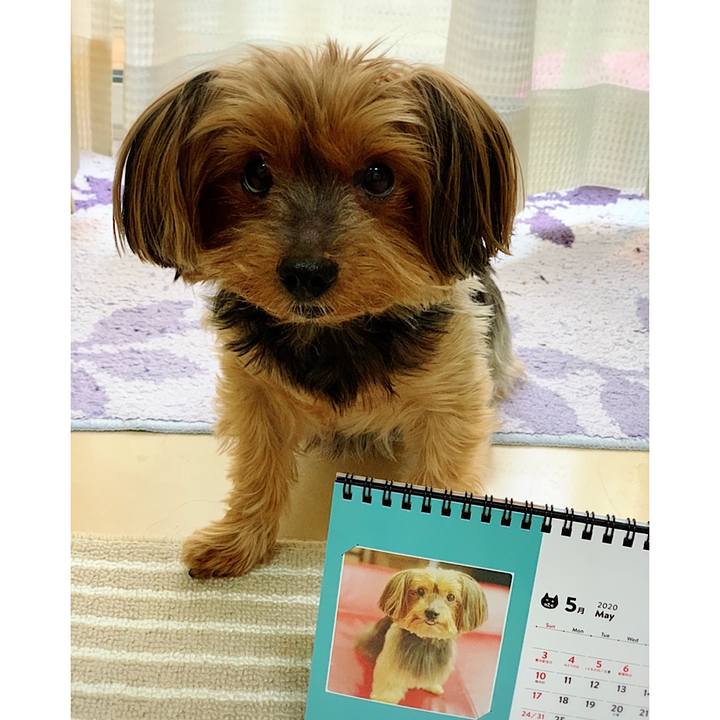 Fb5fce80 365e 4283 ad7b 4d3badccc7e9 1588370936429