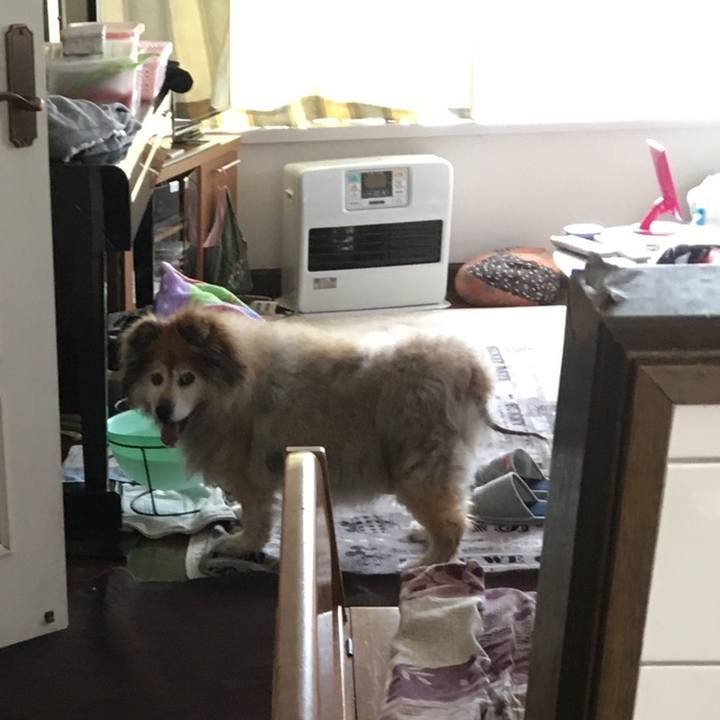 Fb5fe716 381a 4326 8c34 c1af8220f640 1582909407803