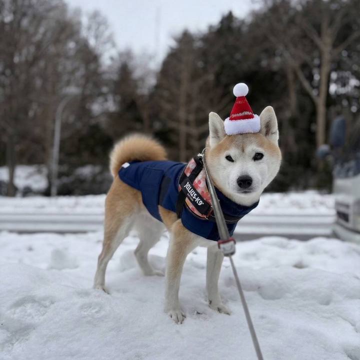 Fb5ff342 c1e3 4943 b368 9970e380cc92 1766663682357