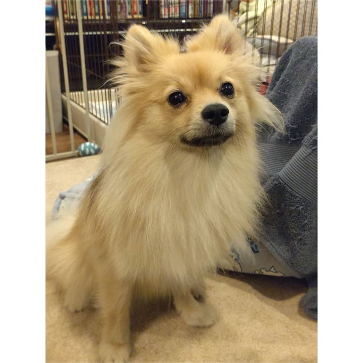 Fb601654 73a6 4b0e 85b8 162453da29f4 1750285496712