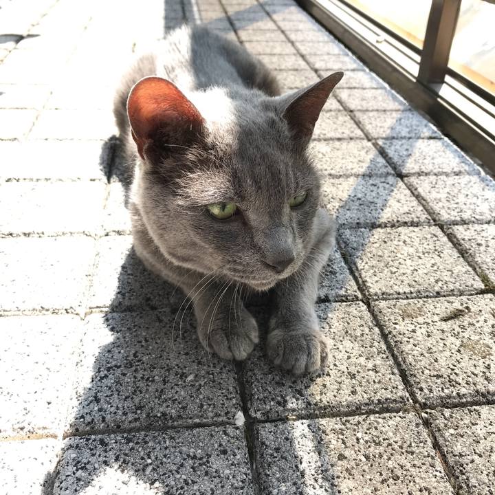 Fb605f70 3b02 477f af54 be9799a785df 1529801720527