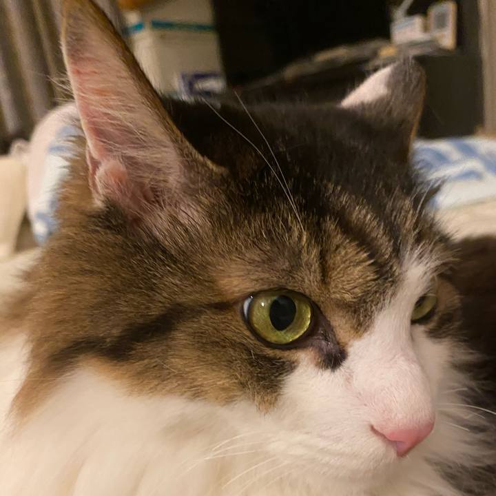 Fb607906 66cd 46ff b5b0 54221421dcfc 1664576409958