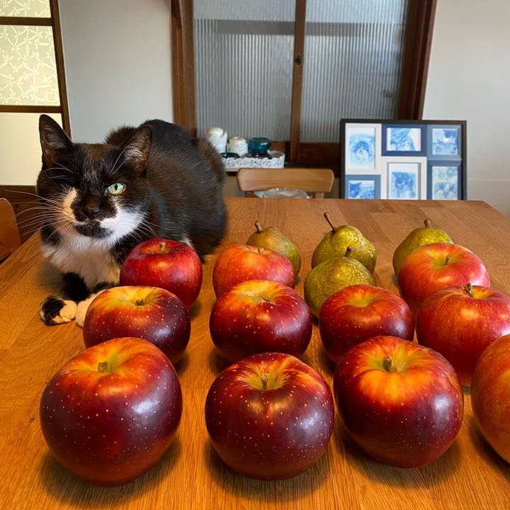 Fb608f3b 46c0 4741 bf8c 78c7c52083b8 1728885019503