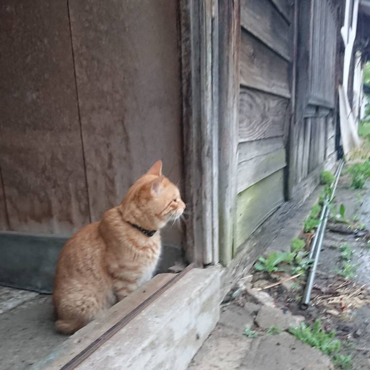 Fb60faef 93ca 427c b193 a7658ef773ad 1652474612453