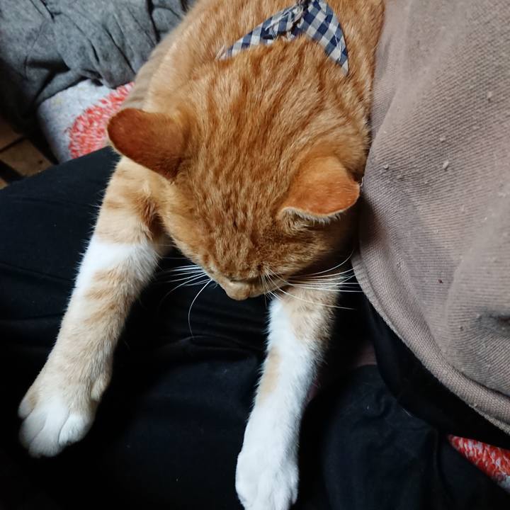 Fb6112c9 2e56 4136 b929 ead73d8b47fc 1573902937040