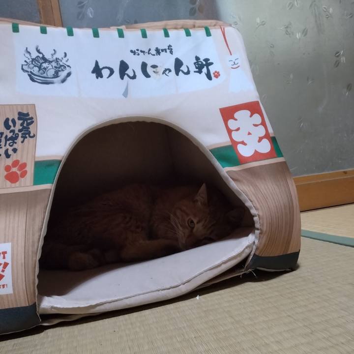 Fb612bea 5eac 4508 939c b8bf3e7a342d 1668597361273