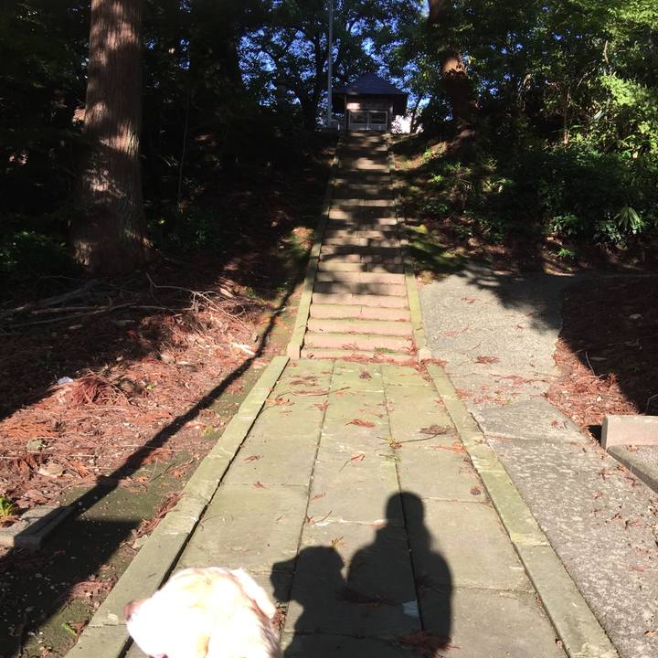 Fb613aed 82f1 4627 85f8 87631855b5f4 1537311110236