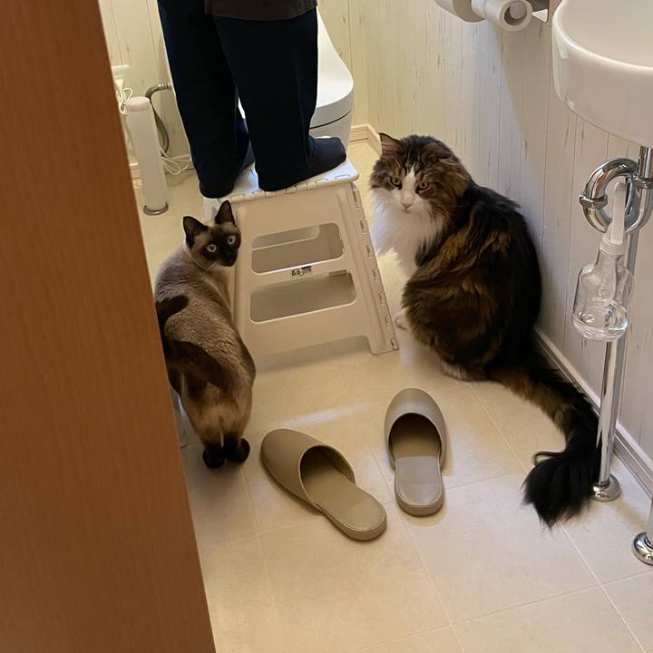 Fb614187 2681 456b bca3 f55292fc10f5 1729987105634