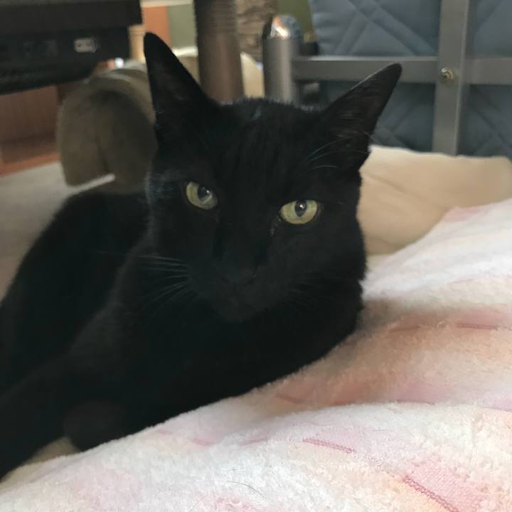 Fb614d5c 37ef 45e7 ae0e 8f938c0e7f34 1535673506167