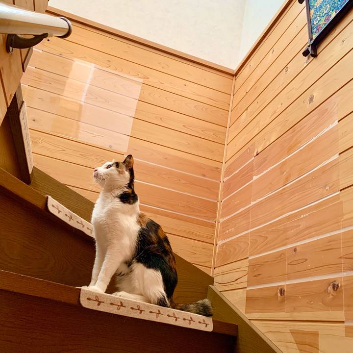 Fb615378 ec1a 4bac a757 9f162c2b066b 1617929429284