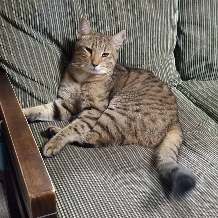 Fb616150 5632 479b bbd0 473b850a4197 1691935546851