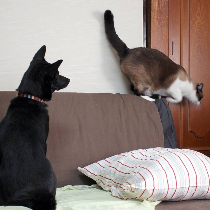 Fb617921 9aa0 4a70 a75f 4db6c488725e 1517397922566