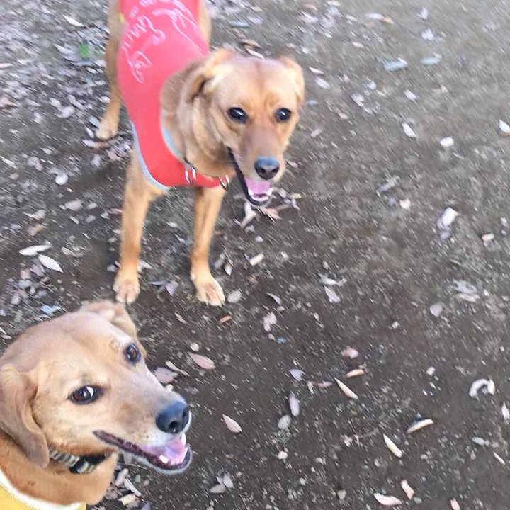 Fb61c56d fe91 47d0 8ed9 a37b03762d58 1542791697802