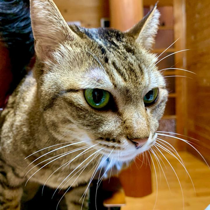 Fb62027b 4558 4f62 9f68 fd29ec8f868f 1639049667472