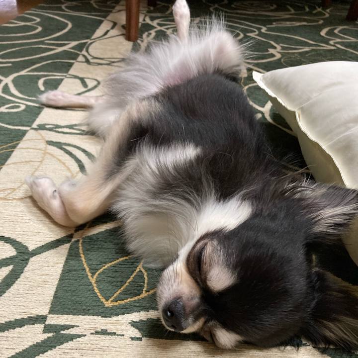 Fb6215f6 5d93 410e a417 832b4e5e2740 1633789846758