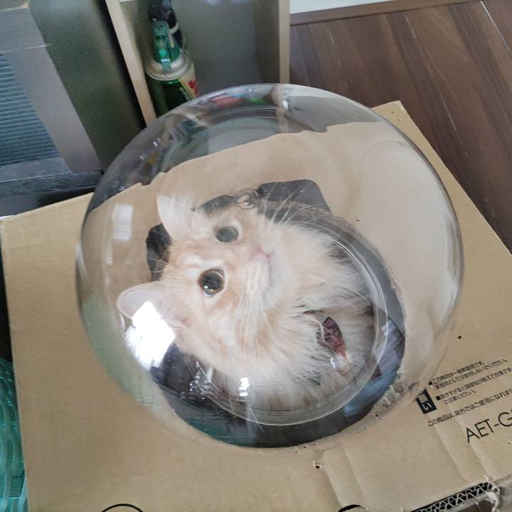 Fb62559f 70e5 4d55 86c2 d839e82f6a2b 1657593244994