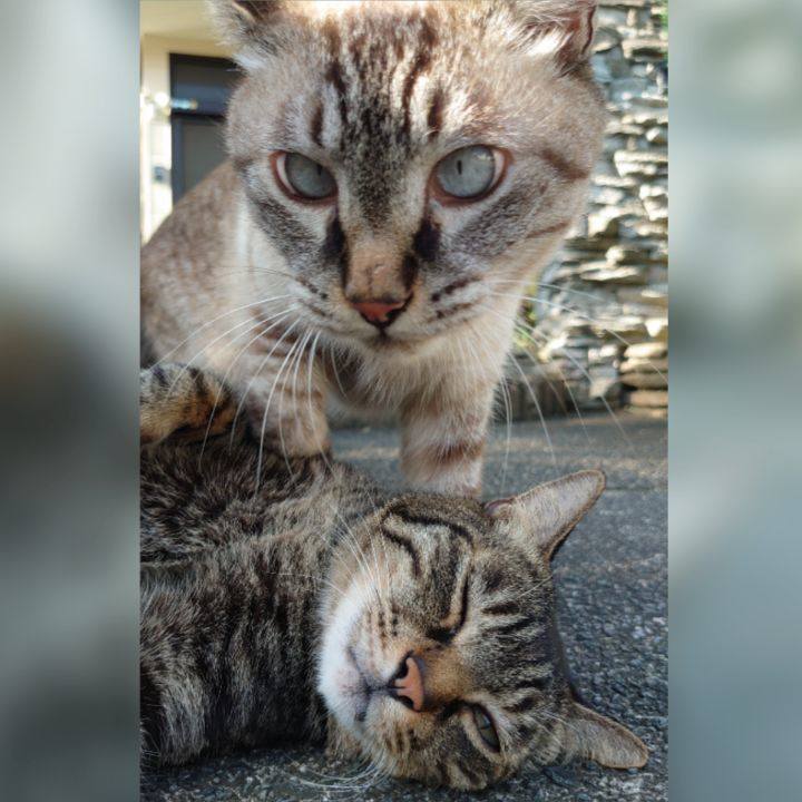 Fb62843b ed71 48b6 b5a5 d44f5385c608 1660895956273