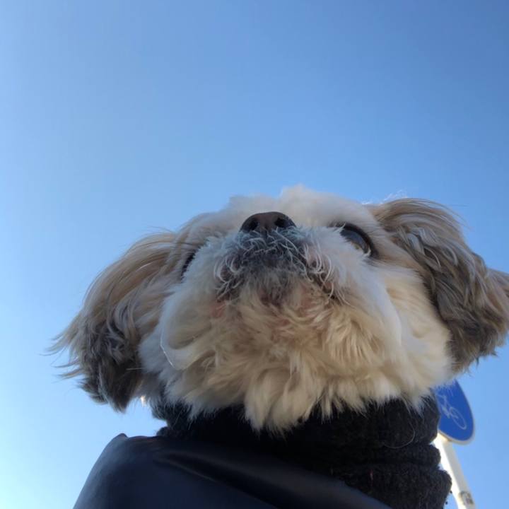 Fb62a463 4115 4f35 a486 67d9ee0d1e98 1547417081373