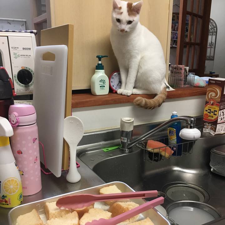 Fb62c1cf 7558 4b44 9c7d 3637a2f0c17c 1515570108529