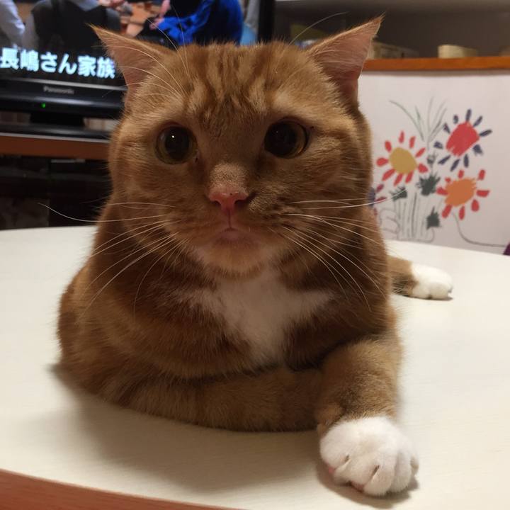 Fb62f5bf 6379 4229 917f b2445e4d8573 1549406603912