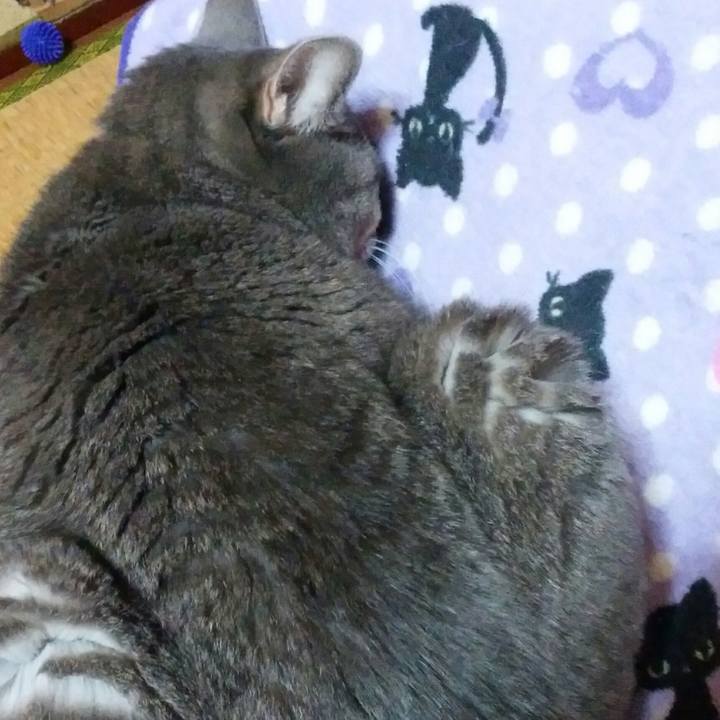 Fb633339 e349 4918 954e 07547c402f9b 1542287871722