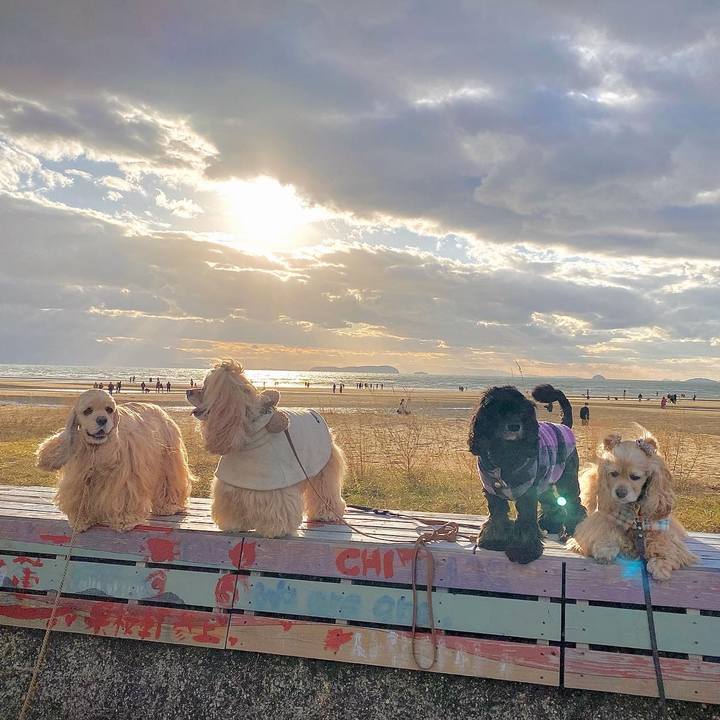 Fb6343ac 4efe 4fbf 83b8 f6c9de8ce14c 1638768298617