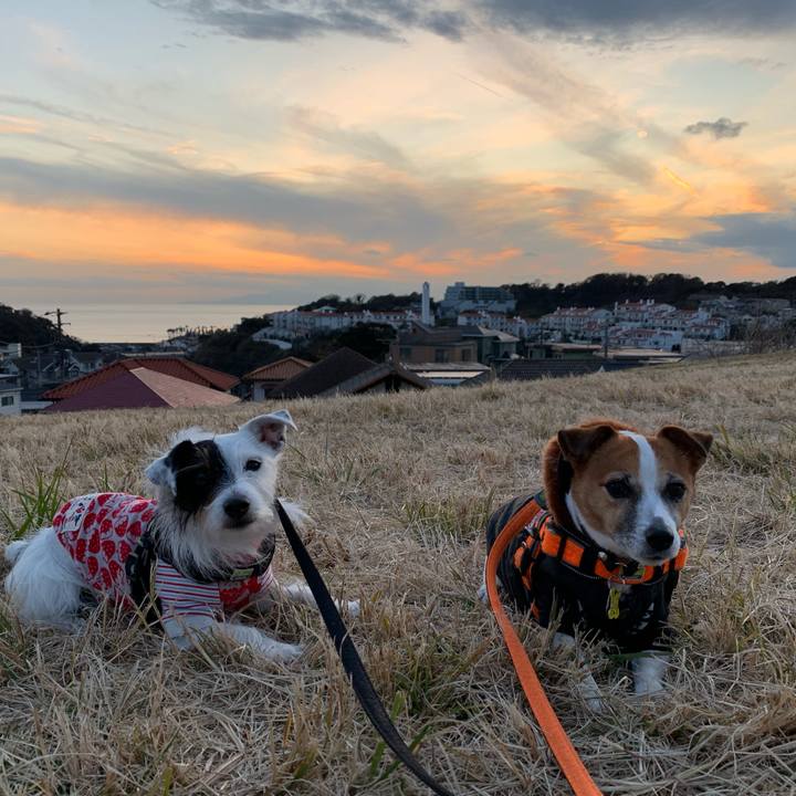 Fb636ae0 e3f3 494a b2b4 f43544058af5 1579163006183