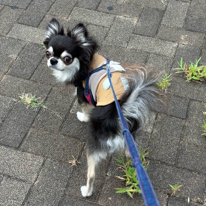 Fb637481 3ebf 4951 be2a 3bb19c4ed28c 1723653336769