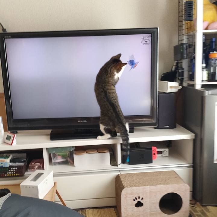 Fb63ac8c 4e85 4255 91d9 4df83f25ae8b 1660091281513