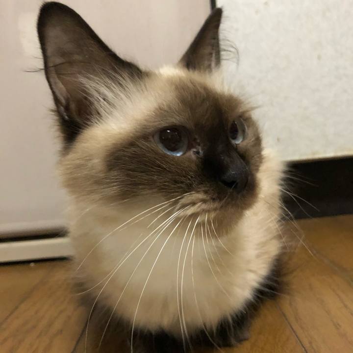 Fb63e9f0 2b23 49f0 a517 0ea002faf050 1600780372086