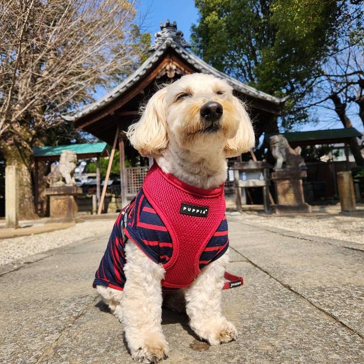 Fb63fcf3 153d 48b1 9af6 8b87328a32c2 1771907650109