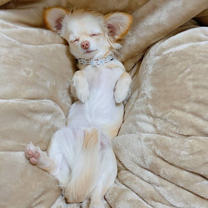 Fb641027 4c3d 4f99 94b0 1db3ea524388 1613303819844