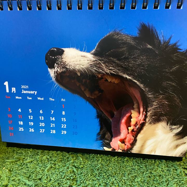 Fb64228d 9ea7 468f bff4 d174e0cc5993 1609459115691