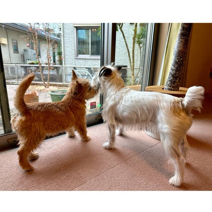 Fb64337d dfb5 41da 9ecd 2f97cefd7eae 1707179940956