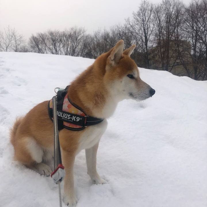 Fb647694 bf82 4052 8e64 4619da87001b 1551170907732