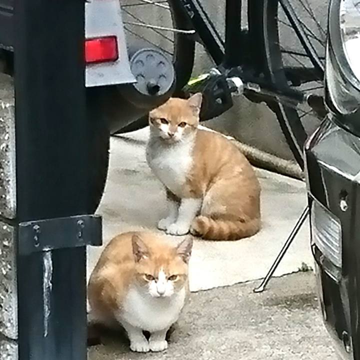 Fb64ae26 a7b6 4c91 9c55 3e1299ce3864 1545016417372