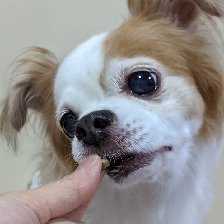 Fb6530ec a8a0 481f 9886 de6b891ece7f 1622639531856