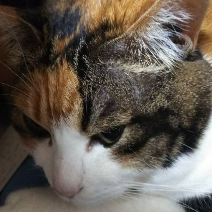 Fb653411 e9f2 454c b683 e93a3d94ce92 1544229599846