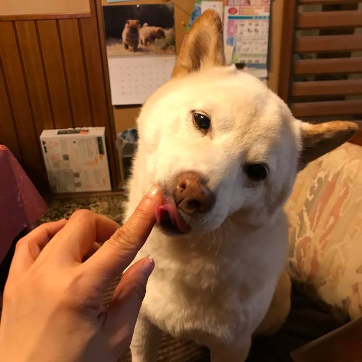 Fb654d84 3bcd 4b68 b475 6bbf6ce4c10f 1634471078135