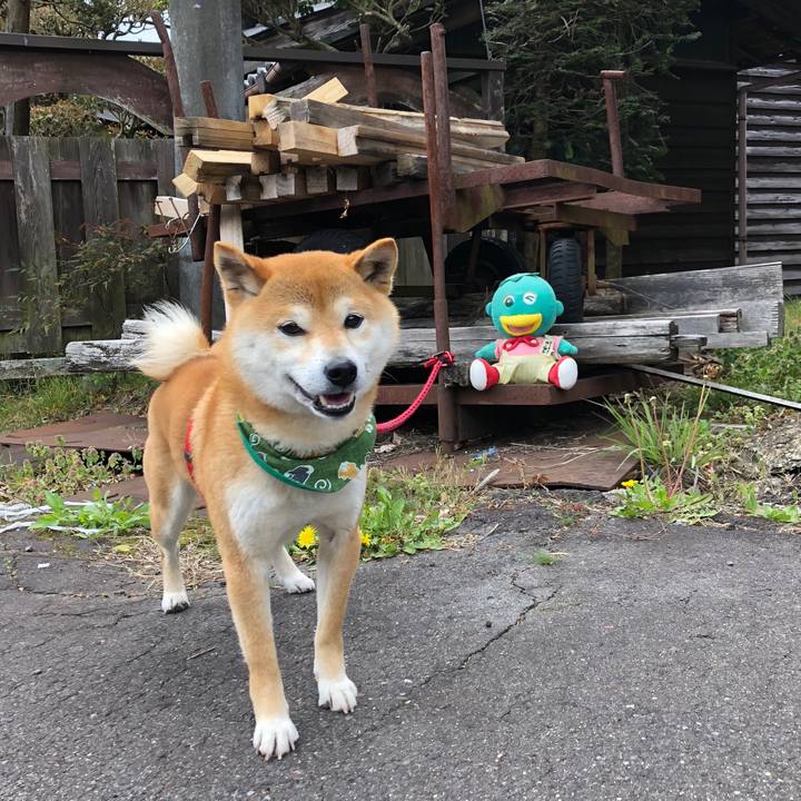 Fb6577fb 5fa6 4329 bfd6 d312a4198f0a 1523684257495