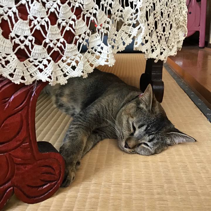 Fb658787 e2be 482c aa14 8a5343e5bc4a 1597390962053