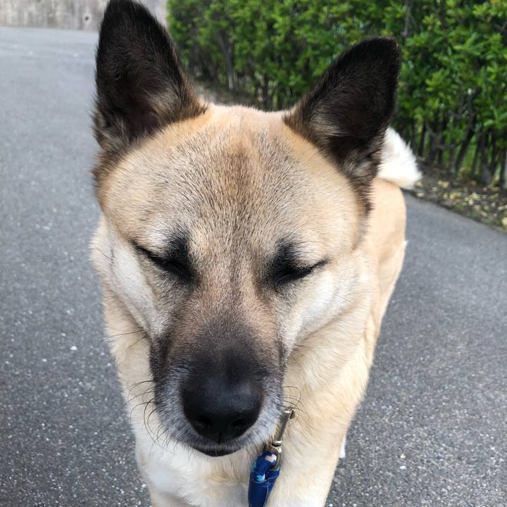 Fb65bd23 418f 41fc a5a2 de8b67c88ed1 1617365569909