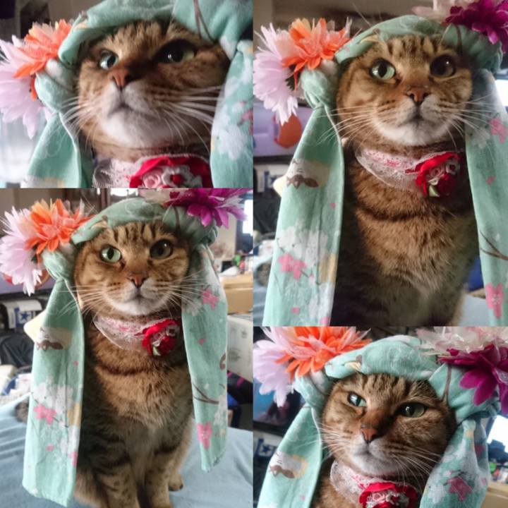 Fb65bded 2cfa 4e78 9a2e a46771265b9e 1760312366704