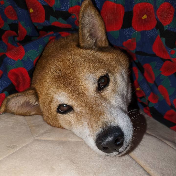 Fb65d506 d75a 44e7 a7c8 431a0ffd3bb4 1700206503738